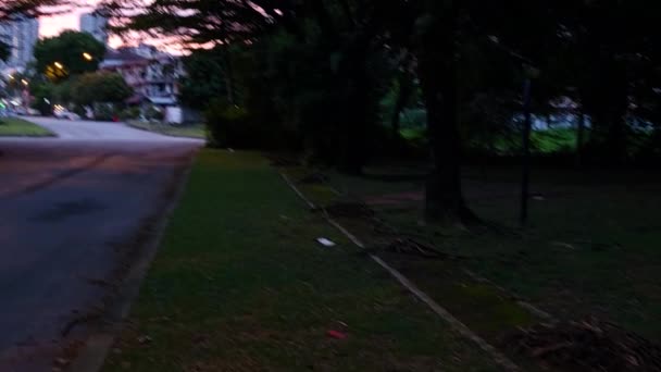 日落时分附近的公园区 — 图库视频影像