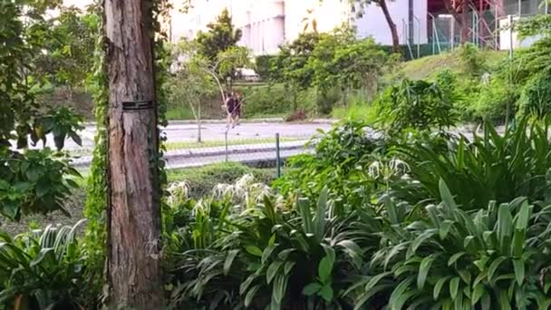 Parque Zona Con Los Hombres Asiáticos Jugando Kick Ball — Vídeos de Stock
