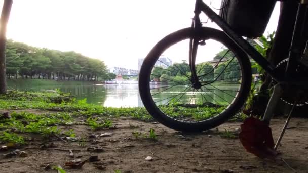 Park Lake View Bicycle Wheel Side — стоковое видео