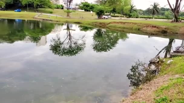 Reflet Des Arbres Ciel Sur Eau Lac — Video