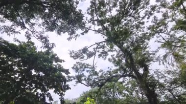 : A Beautiful Lake Area In A Malaysian Zoo
