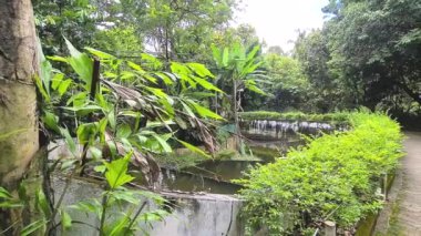  Beautiful Zoo Pen Filled With Trees And A Lake