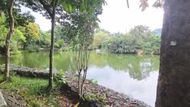 Green Lake With Lots Of Trees Around