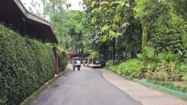 Malezyalılar Hayvanat Bahçesinde