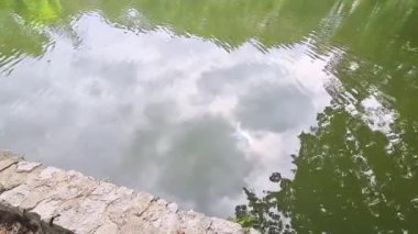 Yüzeyde Dalgalanmalar Olan Su.