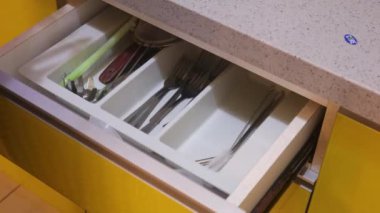 Ethnic Woman Arranging Cutlery Into A Drawer