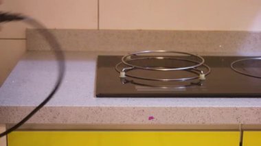 Rice Cooker Getting Plugged In By An Ethnic Woman.