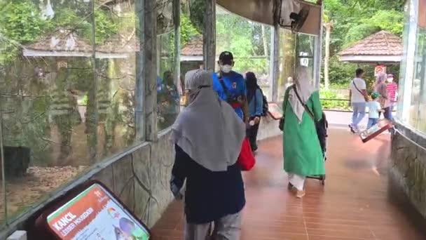 Μαλαισιανοί Δημόσιο Ζωολογικό Κήπο — Αρχείο Βίντεο