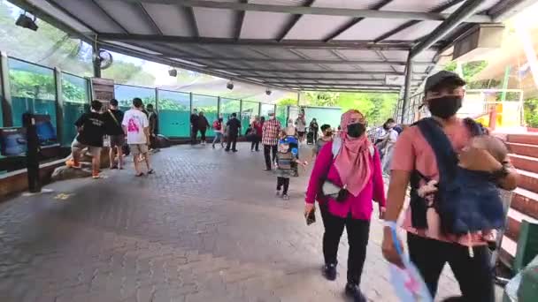 Malaysiska Folket Det Offentliga Zoo — Stockvideo