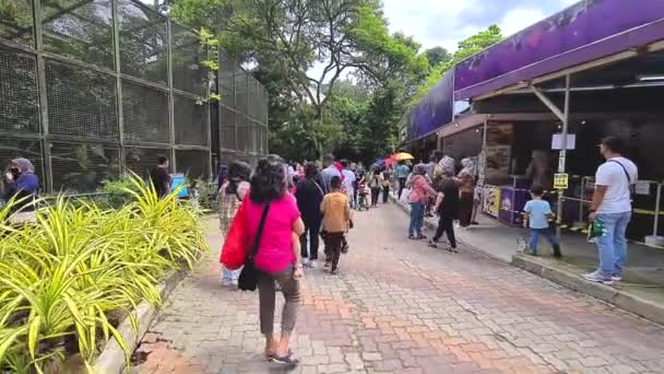 Malajské Rodiny Maskami Přeplněnými Zoo — Stock video