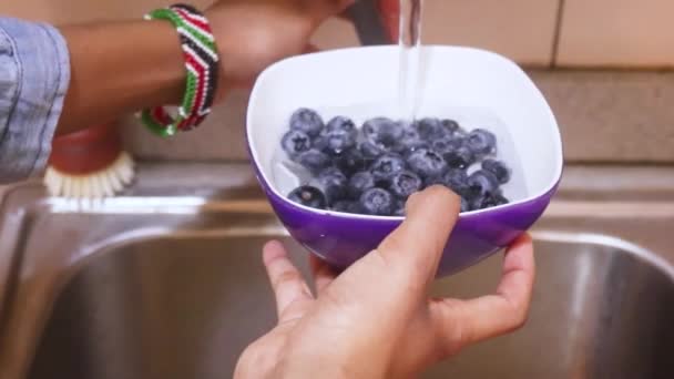 Blueberries Being Washed Ethnic Woman — Stock video