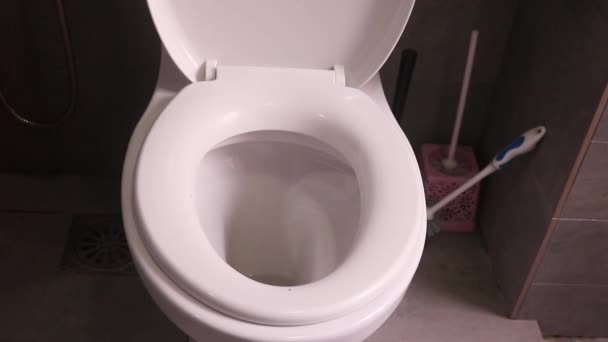 Osoba Upuszczająca Papier Toaletowy Muszli Klozetowej Wysoki Kąt — Wideo stockowe