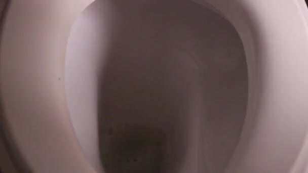 Woman Cleaning Toilet Bowl — Stock Video