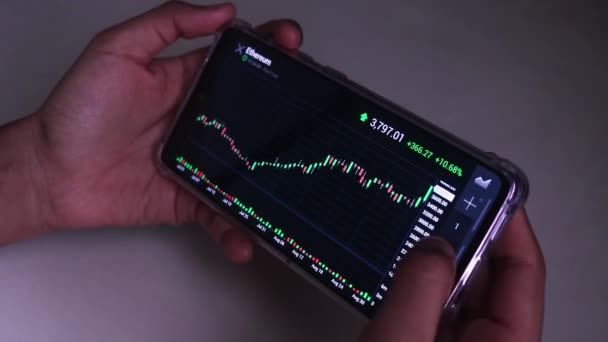 Woman Checking Ethereum Stock Chart Horizontal Mode — Stok Video