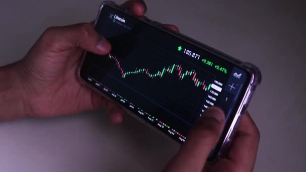 Woman Checking Litecoin Stock Chart Horizontal Mode — Wideo stockowe