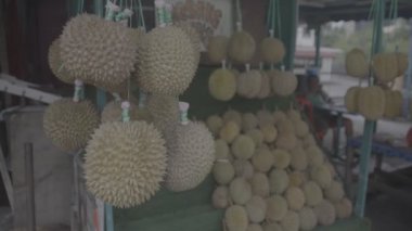 Durian 'ın asıldığı ve Çinli bir adamın oturduğu meyve tezgahı