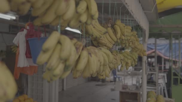 带有香蕉挂的水果堆放 — 图库视频影像