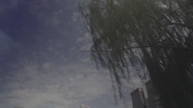 Sis Çeşmeli Mescid Jamek Camii