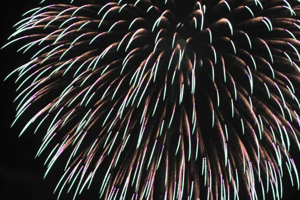 Japon geleneksel fireworks gece gökyüzünde — Stok fotoğraf