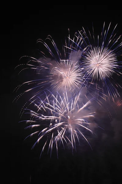 Japanese traditional fireworks in the night sky — Stock Photo, Image