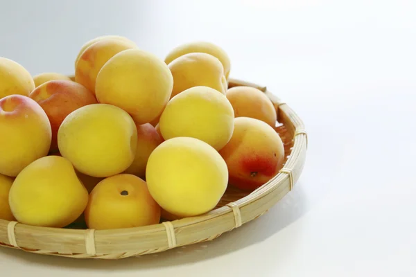 Frutti maturi di Ume — Foto Stock