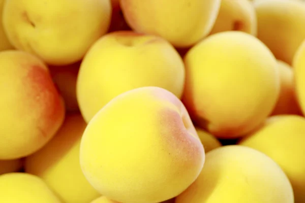 Ripe fruits of Ume — Stock Photo, Image