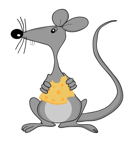 Cute mouse holding cheese — Stock Vector