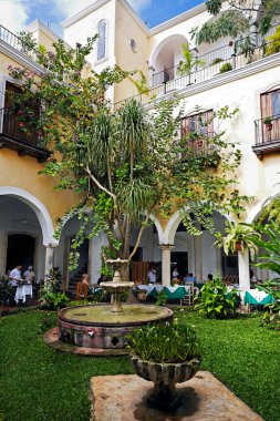 Patio del marques Restaurant