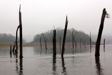 periyar Gölü rezerv