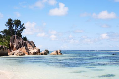 La diguefondo marrón pastel