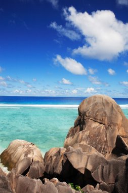 La diguefondo marrón pastel