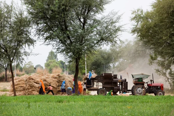 Agricultura en el campo — Foto de Stock