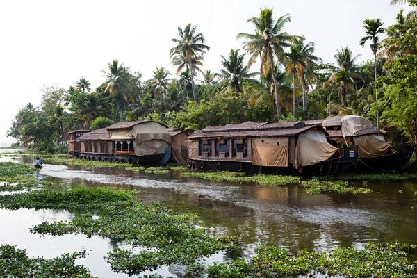 Acque interne Kerala — Foto Stock