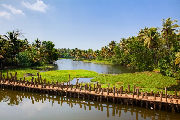 Backwaters of cochin — Stock Photo, Image