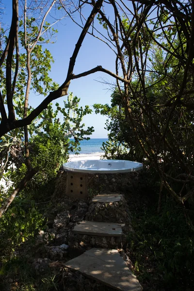 Jaccuzzi en la naturaleza —  Fotos de Stock