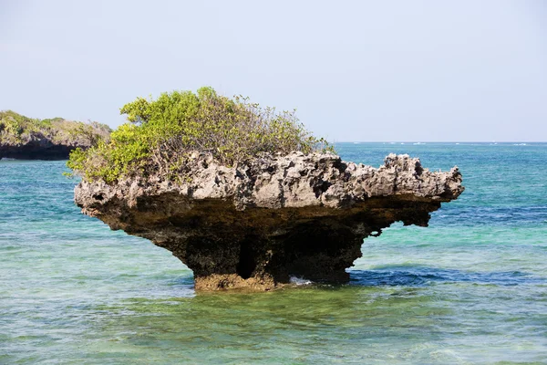 Arrecife de coral roca — Foto de Stock