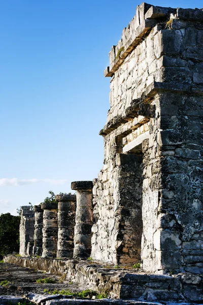 Tulum Maja archeologic helyén — Stock Fotó