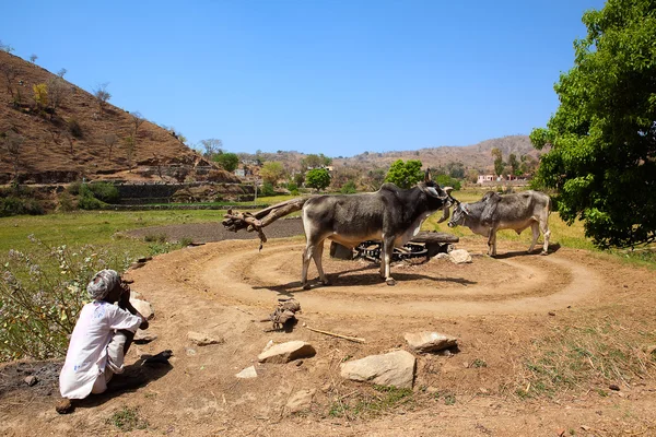 Vattenförsörjning i delstaten rajasthan i Indien — Stockfoto