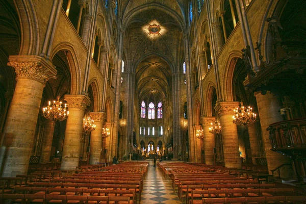 Notre Dame de Paris carhedral — Stok fotoğraf
