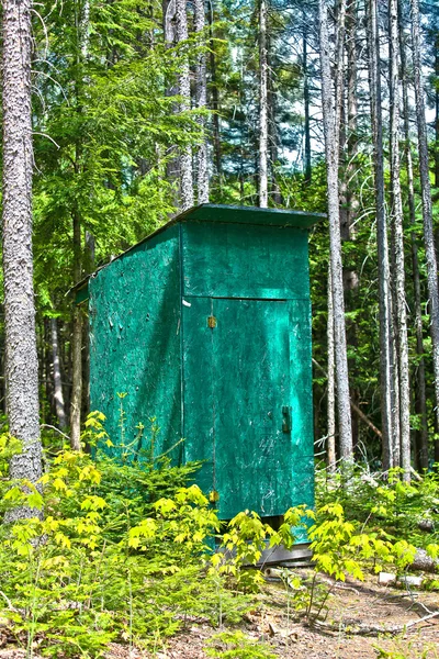 Cabaña en el bosque —  Fotos de Stock
