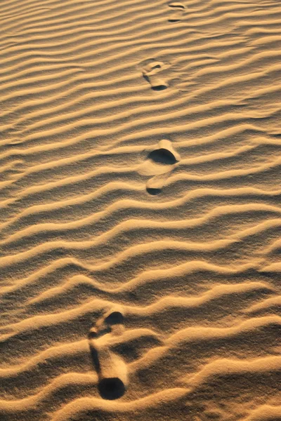 Duna de areia de cumbuco — Fotografia de Stock