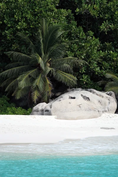 Petite anse en La Digue — Foto de Stock