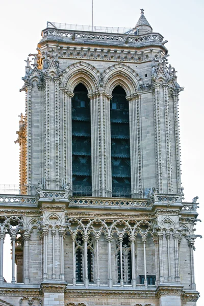 Notre Dame de Paris carhedral Stockfoto