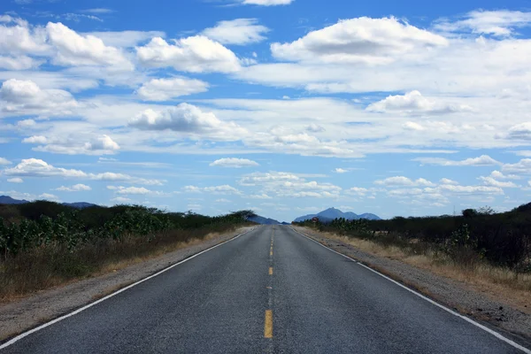 巴西的直行道路 免版税图库照片