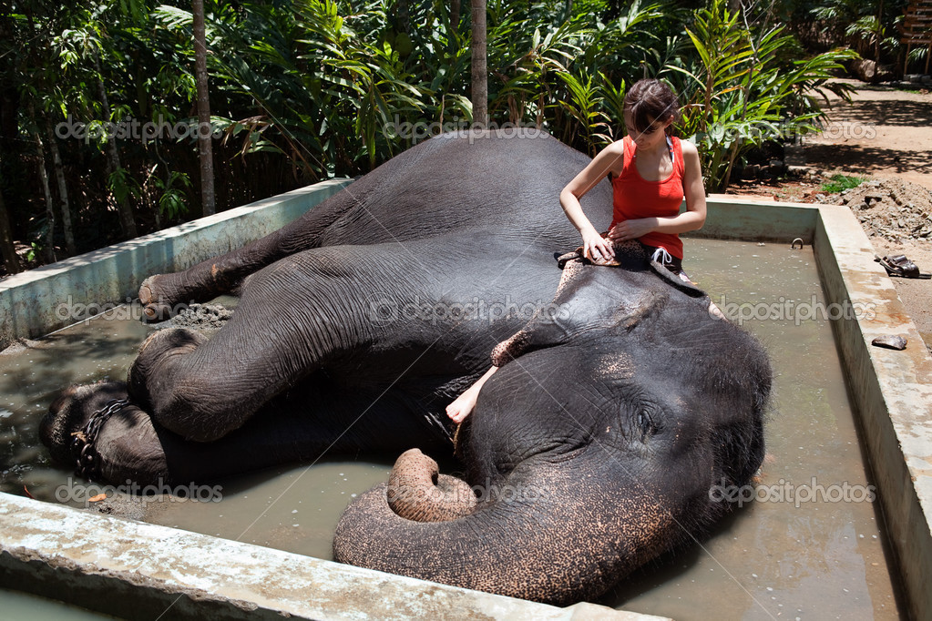Turistiche balneari e pulizia con un elefante domestico di guscio di ... Stato di pulizia