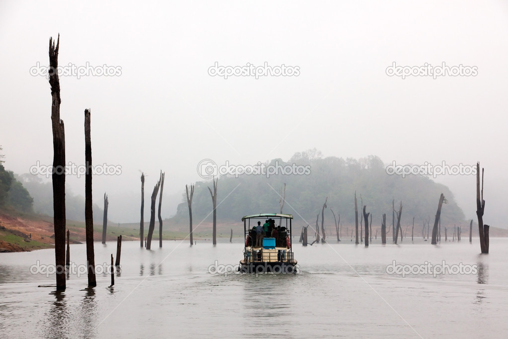 Periyar Lake Reserve in mumnar Kerala state india