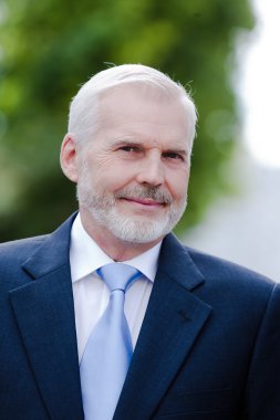 üst düzey işadamı portresi gülümseyen Dostu