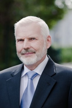 üst düzey işadamı portresi