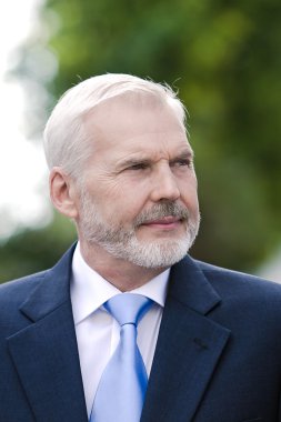 üst düzey işadamı portresi