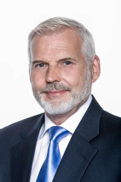 üst düzey işadamı portresi